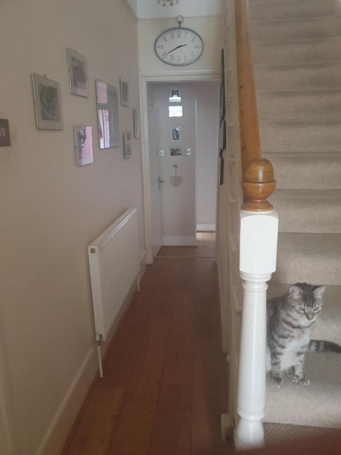 Privatunterkunft White Hart Lane Walking Distance Tottenham Hotspur Stadium London